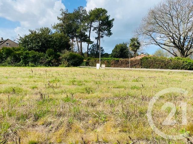 terrain à vendre - 750.0 m2 - BENESSE MAREMNE - 40 - AQUITAINE - Century 21 Berritzea